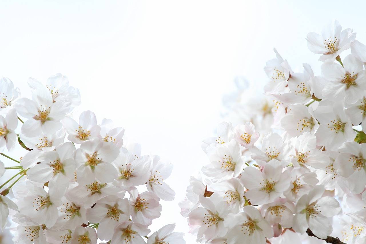 Quelle: pixabay